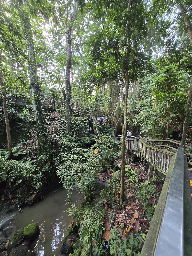 Sacred Monkey Forest Sanctuary - Sacred Monkey Forest Sanctuary Jl. Monkey Forest, Ubud, Kecamatan Ubud, Kabupaten Gianyar, Bali 80571, Indonesia