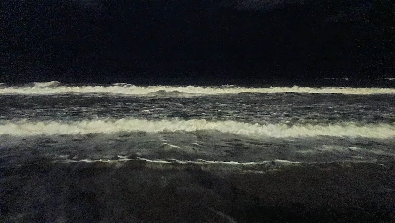 Golden beach - Golden beach RR2W+XCX, Unnamed Road, Penthakata, Puri, Odisha 752002, India