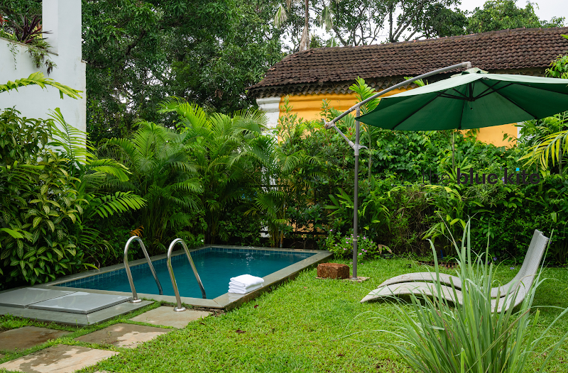 La Olalian by The Blue Kite | Luxury 2BHK Villa in Anjuna - La Olalian by The Blue Kite | Luxury 2BHK Villa in Anjuna, SY. NO. 501/10, TALUKA, BARDEZ, Bouta Waddo, Anjuna, Goa 403509, India