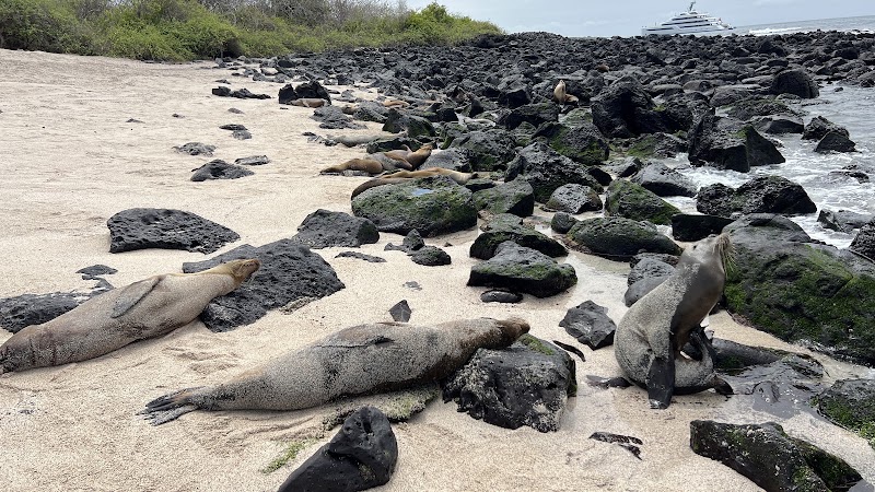 Point Carola Beach - Point Carola Beach, Ecuador