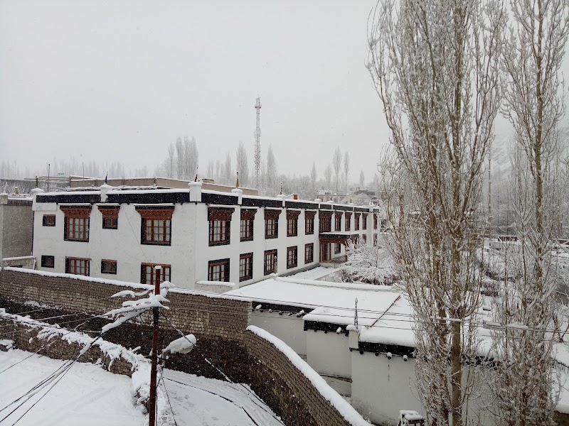 Mentokling Guest House And Apple Garden Restaurant - Mentokling Guest House And Apple Garden Restaurant Changspa Road, Zangsti Rd, Leh, 194101