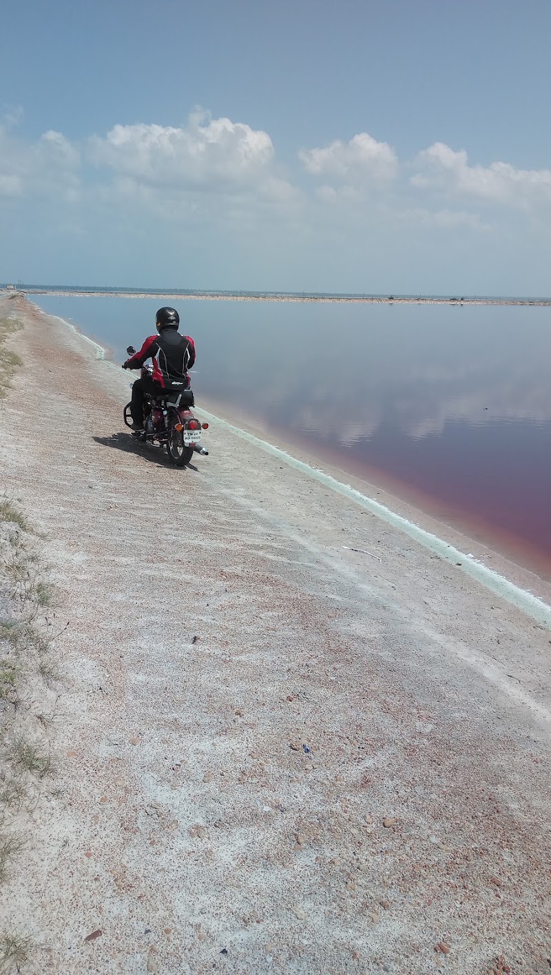 Shahid Bhagat singh salt pan - Shahid Bhagat singh salt pan Shahid Bhagat singh salt pan, Rajasthan