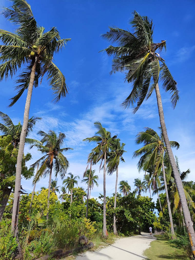 San Vicente Marine Sanctuary - San Vicente Marine Sanctuary, 62XF+C4Q, Lapu-Lapu, Philippines