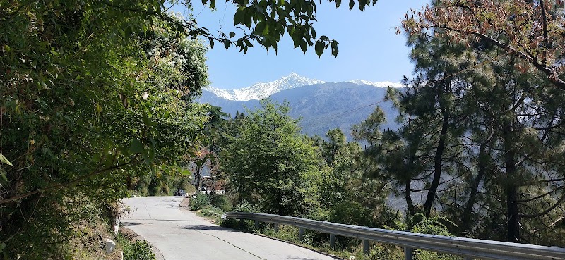 Jogiwara Road - Jogiwara Road, Jogiwara Rd, McLeod Ganj, Dharamshala, Himachal Pradesh 176215, India
