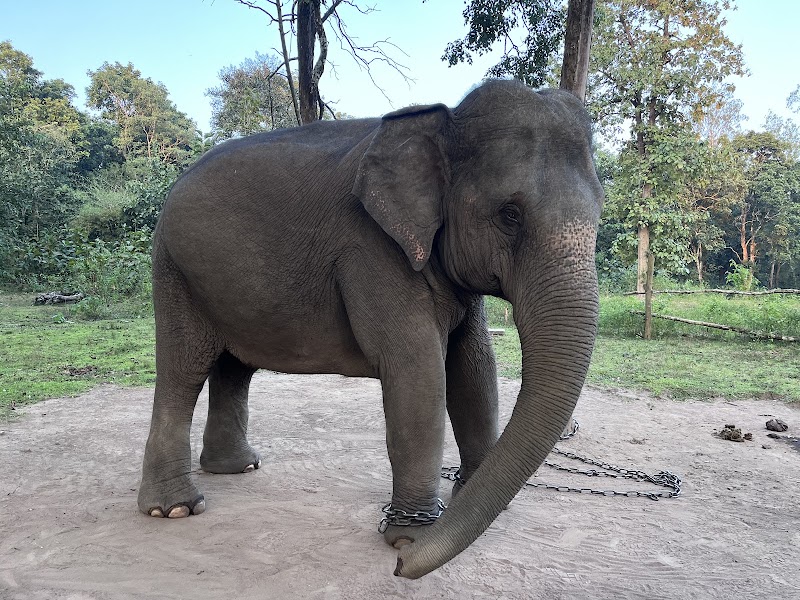 Dandeli wildlife safari - Dandeli wildlife safari, Kulgi, Karnataka 581363, India