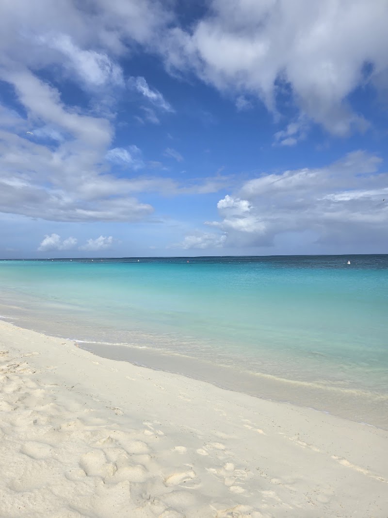 Eagle Beach - Eagle Beach Eagle Beach, Aruba