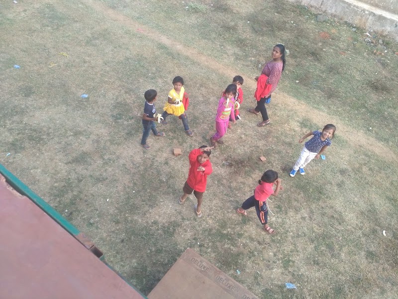 DNK field - DNK field M65C+762, Umerkote, Odisha 764073, India