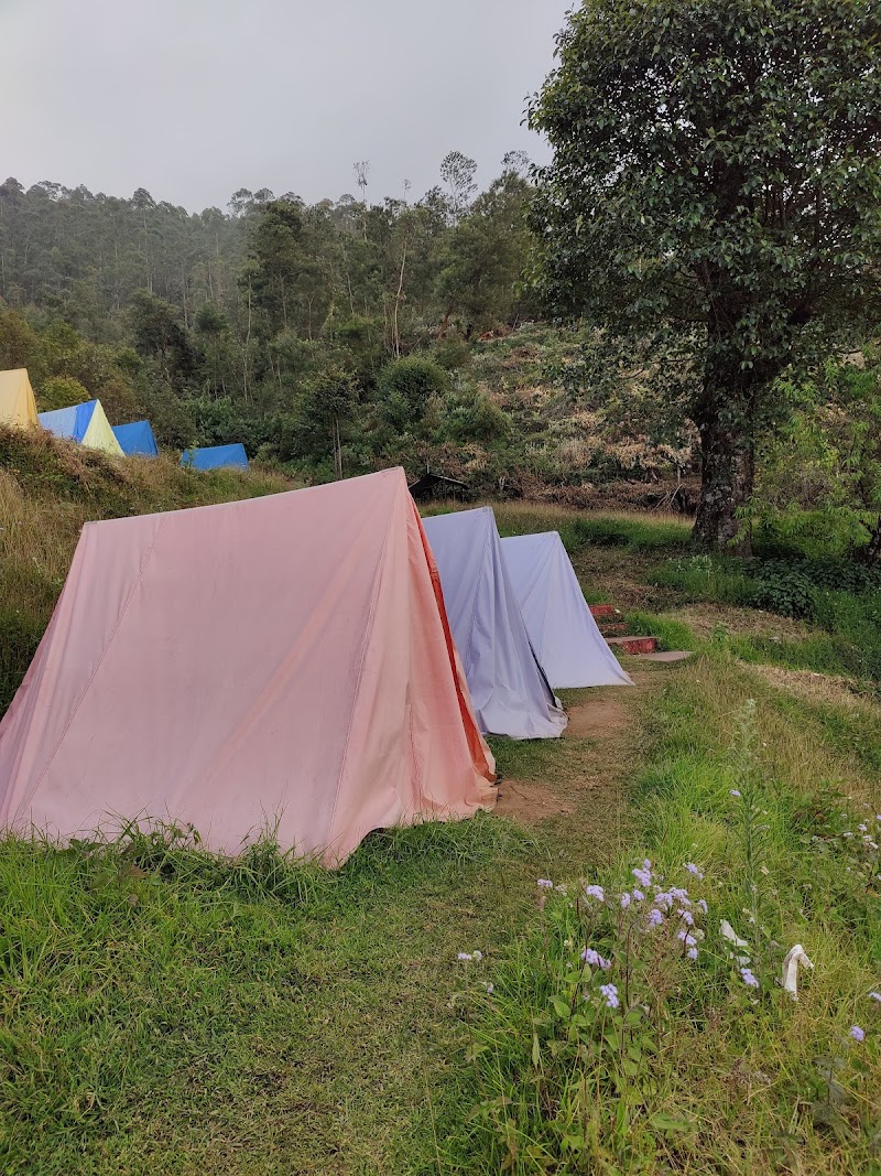 Route49 Adventures & Offbeat Experiences - Route49 Adventures & Offbeat Experiences 1st Floor Kalinivas Building, near Gandhi Statue, Nullatanni, Munnar, Kerala 685612, India