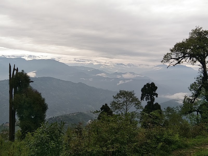 Pine View Spot - Pine View Spot 256P+H3, Ghoom Pahar Forest, West Bengal 734221, India