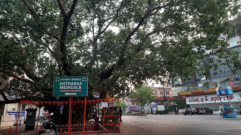 Kadri - Kadri, Mangaluru, Karnataka, India
