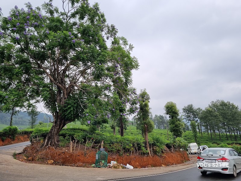 Chithirapuram View Point - Chithirapuram View Point 22PQ+G8X, Chithirapuram, Kerala 685565, India