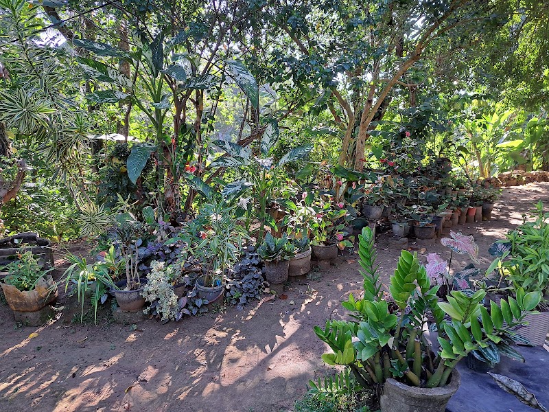 Mountain Breeze Inn - Mountain Breeze Inn, Hengodayahena,Gammadda, X9GX+96F midigama, Ahangama, Sri Lanka