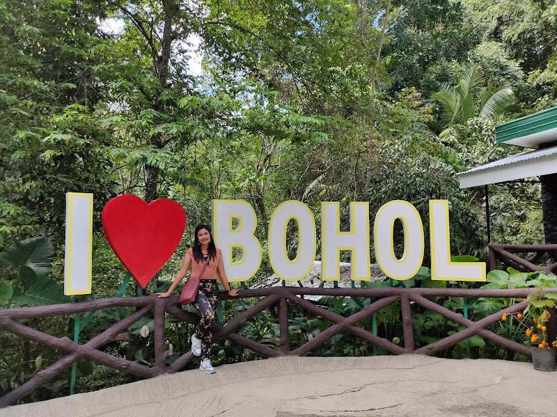 Wow Bohol Tours - Wow Bohol Tours, Purok 1 Tipolo, Panglao, 6300 Bohol, Philippines