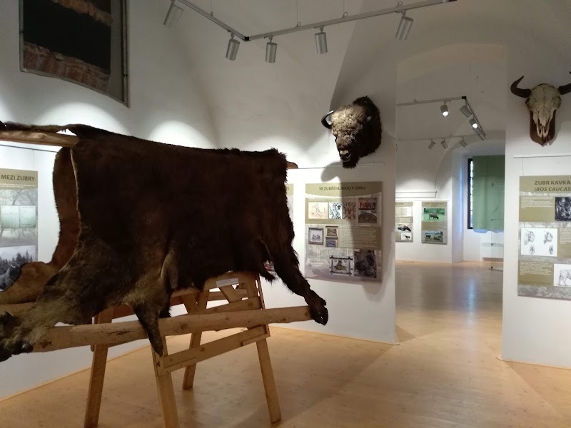 Muzeum lesnictví, myslivosti a rybářství – zámek Ohrada - Muzeum lesnictví, myslivosti a rybářství – zámek Ohrada, Ohrada 17, 373 41 Hluboká nad Vltavou, Czechia