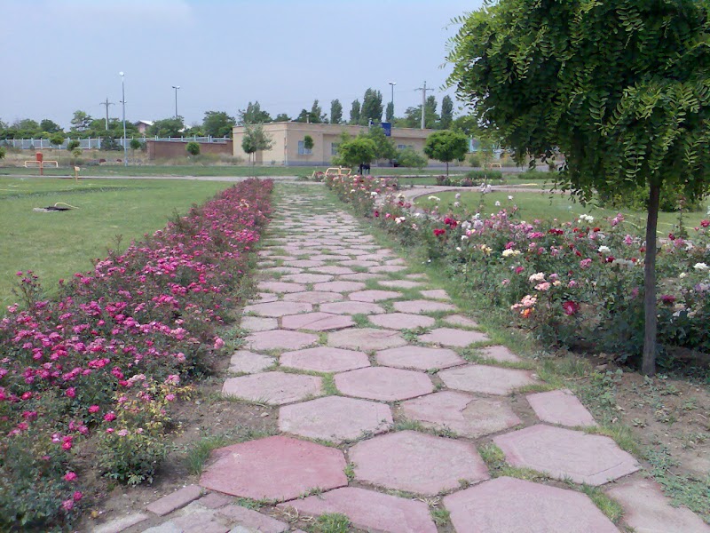 Faculty of Basic Sciences - Faculty of Basic Sciences, 676W+2GF, Ardabil, Ardabil Province, Iran
