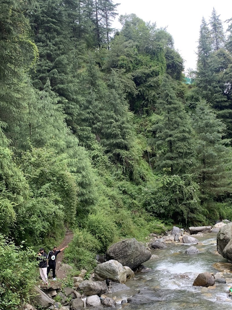 Riverside Cottage Apple orchard - Riverside Cottage Apple orchard Bus Stop, NH 305, Jibhi, Himachal Pradesh 175123, India