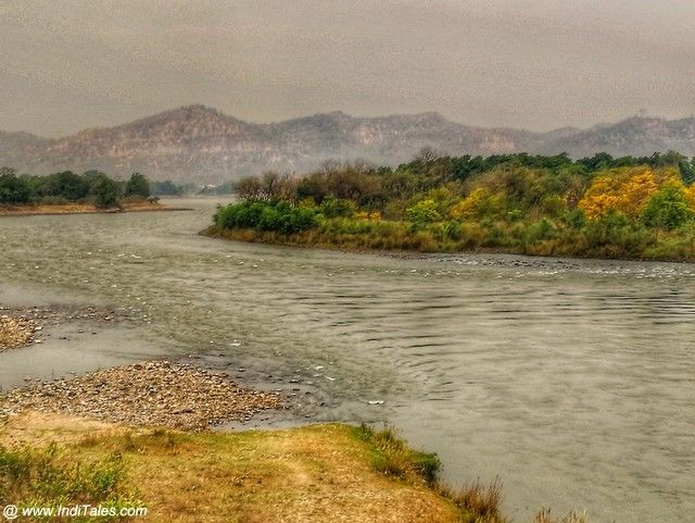 Rajaji National Park Safari Booking Office - Rajaji National Park Safari Booking Office, Near Cheela Dam, Haridwar- Rishikesh, Cheela Dam - Rishikesh Rd, Cheela Colony, Uttarakhand 249306, India