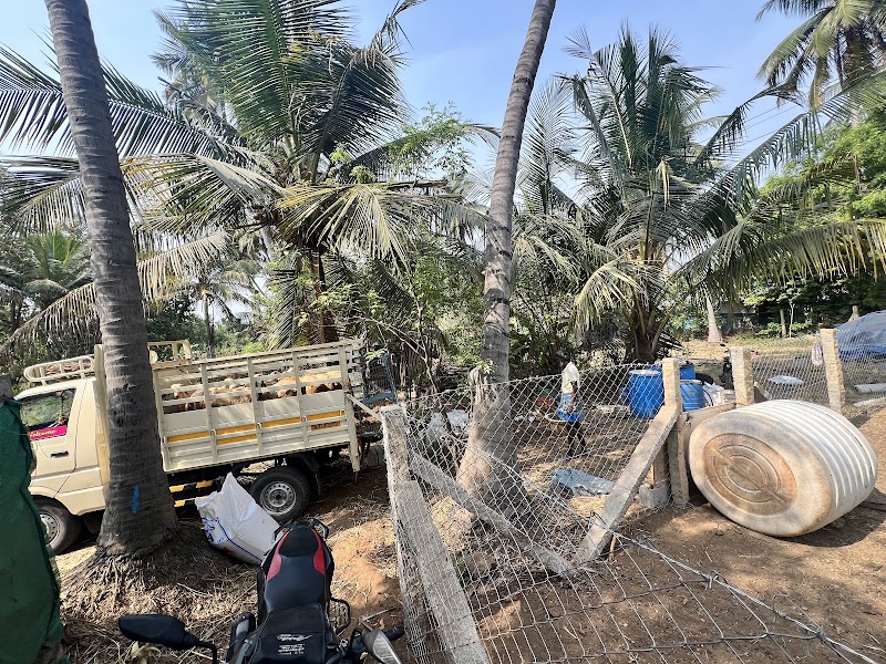 The Fat Lamb Co. - The Fat Lamb Co., Nadar Colony, Kompanaipudur, Kolathupalayam, Tamil Nadu 638152, India