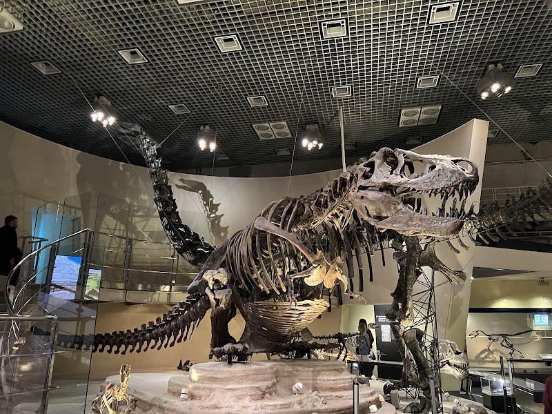 National Museum of Nature and Science - National Museum of Nature and Science 7-20 Uenokōen, Taito City, Tokyo 110-8718, Japan