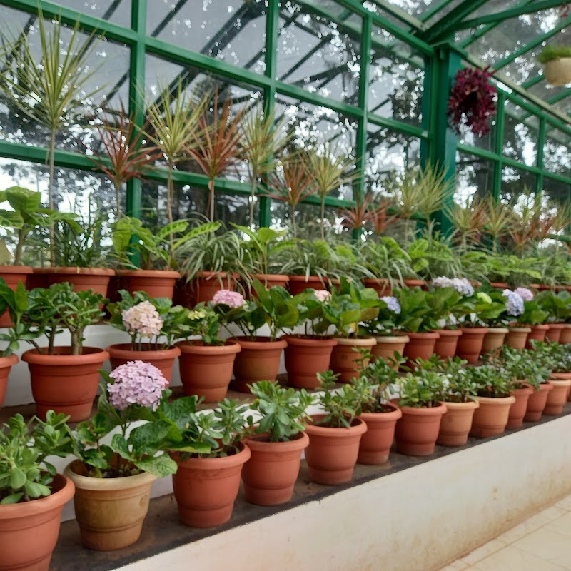 Yercaud - Yercaud Q6P6+3RJ, Yercaud, Tamil Nadu 636602, India