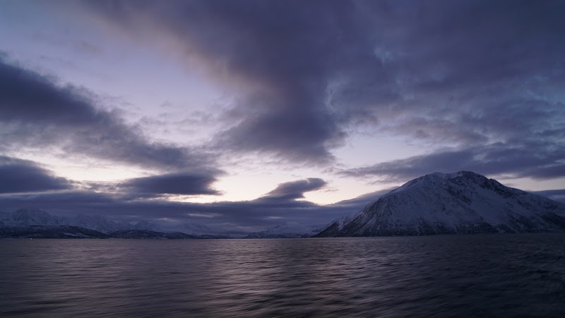 Arctic Explorer AS - Arctic Explorer AS Søndre Tollbodgate 3, 9008 Tromsø, Norway