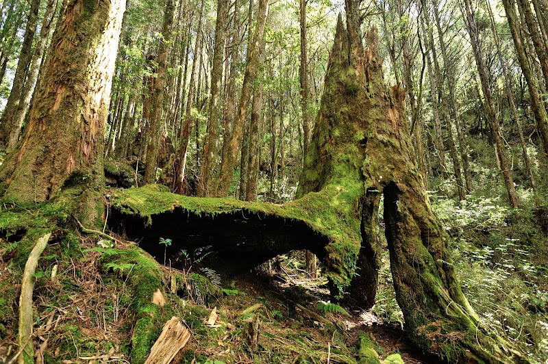 Eight Immortals Mountain - Eight Immortals Mountain, Heping District, Taichung City, Taiwan 424