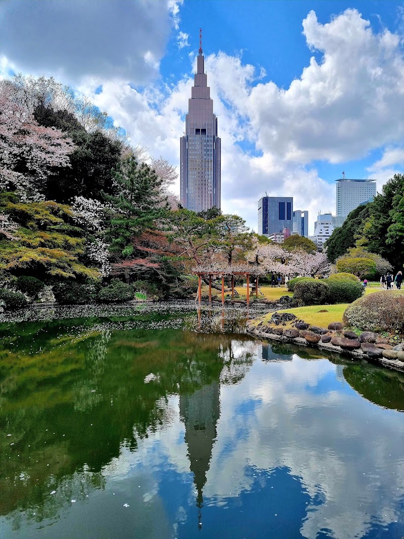 Shinjuku Gyoen National Garden - Shinjuku Gyoen National Garden 11 Naitōmachi, Shinjuku City, Tokyo 160-0014, Japan