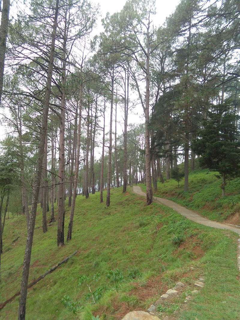 Incredible Uttarakhand Tourism - Incredible Uttarakhand Tourism HJMR+M54, Almora Rd, Khatyari, Almora, Mall, Uttarakhand 263601, India