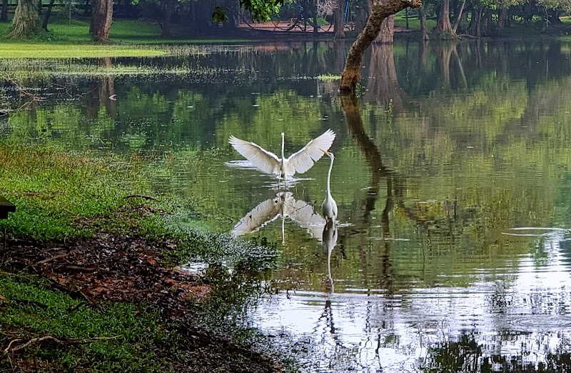 Kandalama - Kandalama Kandalama, Sri Lanka