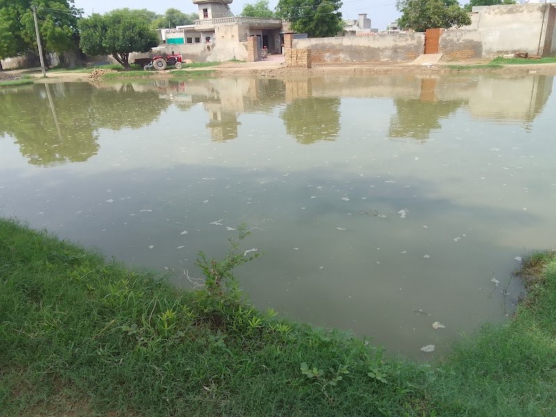 Johd - Johd, RRMH+58W, 19GG, Rajasthan 335002, India
