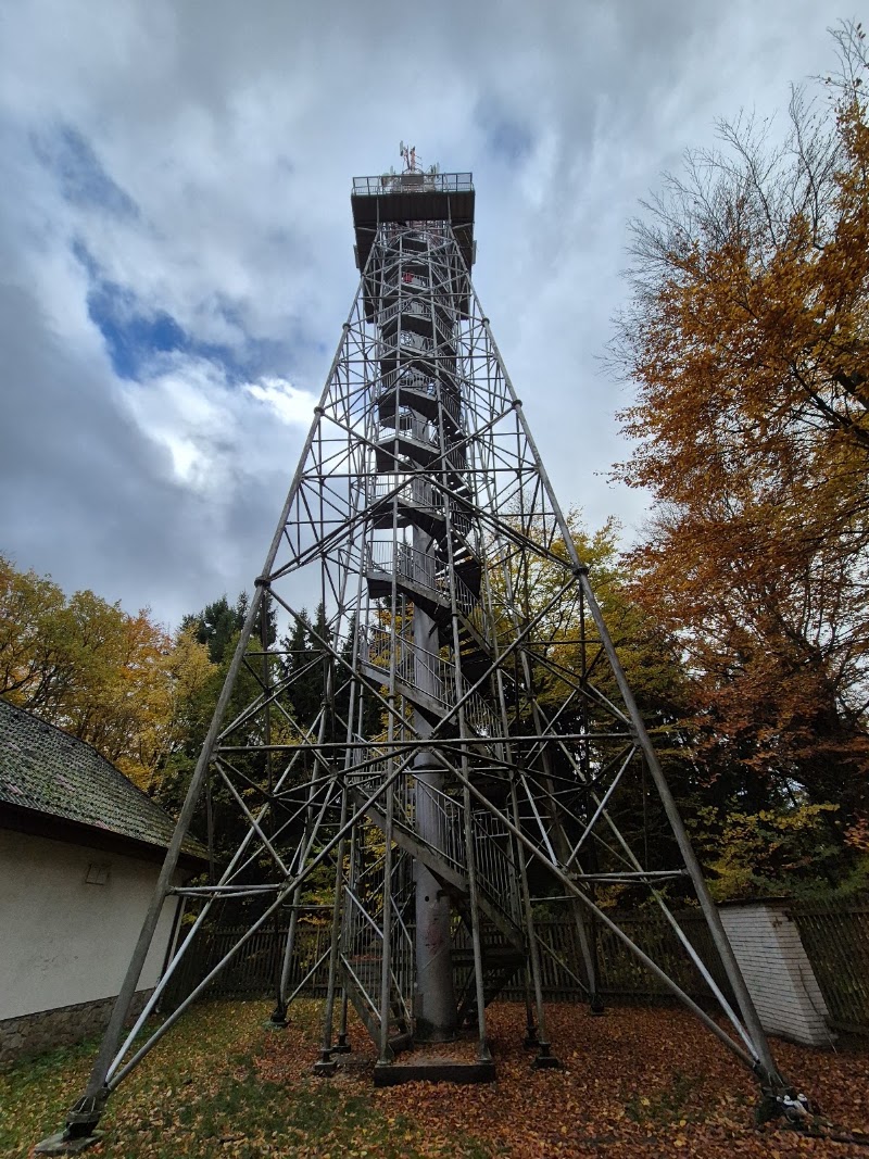 Jarník