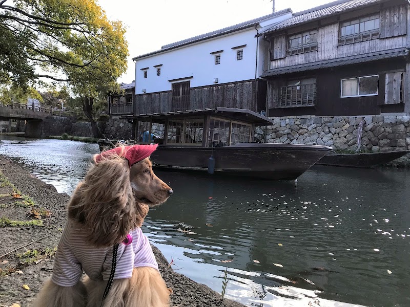 Hachiman-bori Canal Promenade - Hachiman-bori Canal Promenade 1-chōme-19-3 Ikedamachi, Omihachiman, Shiga 523-0876, Japan
