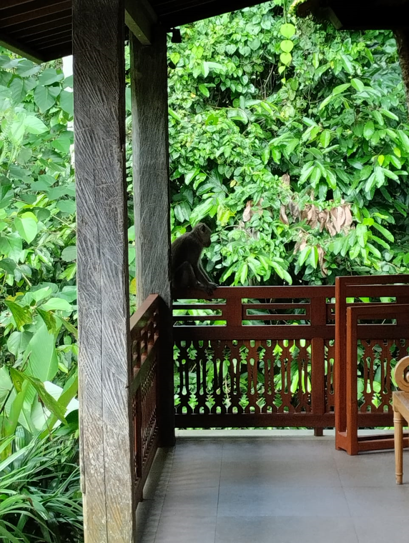 Gadang Villa - Gadang Villa, Kenderan, Tegallalang, Gianyar Regency, Bali 80552, Indonesia