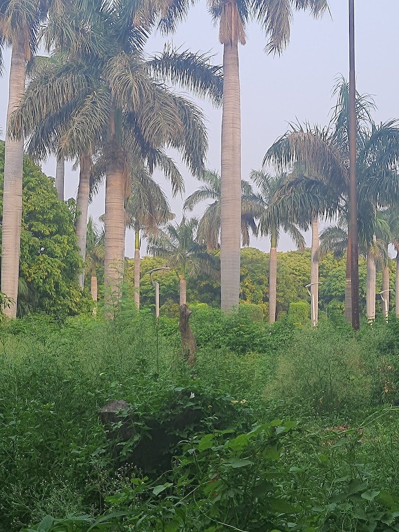Pinjore - Pinjore, Haryana, India