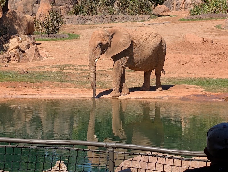 Elephant Valley - Elephant Valley San Diego Zoo Safari Park, 15500 San Pasqual Valley Rd, Escondido, CA 92027, USA