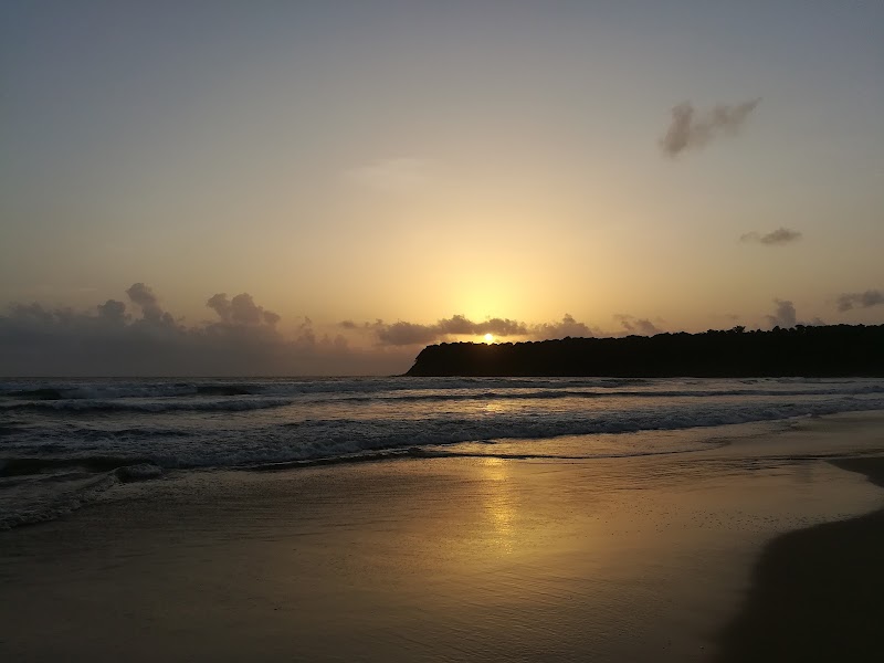 Agonda Beach Road - Agonda Beach Road, Agonda Beach Rd, Agonda, Goa 403702, India