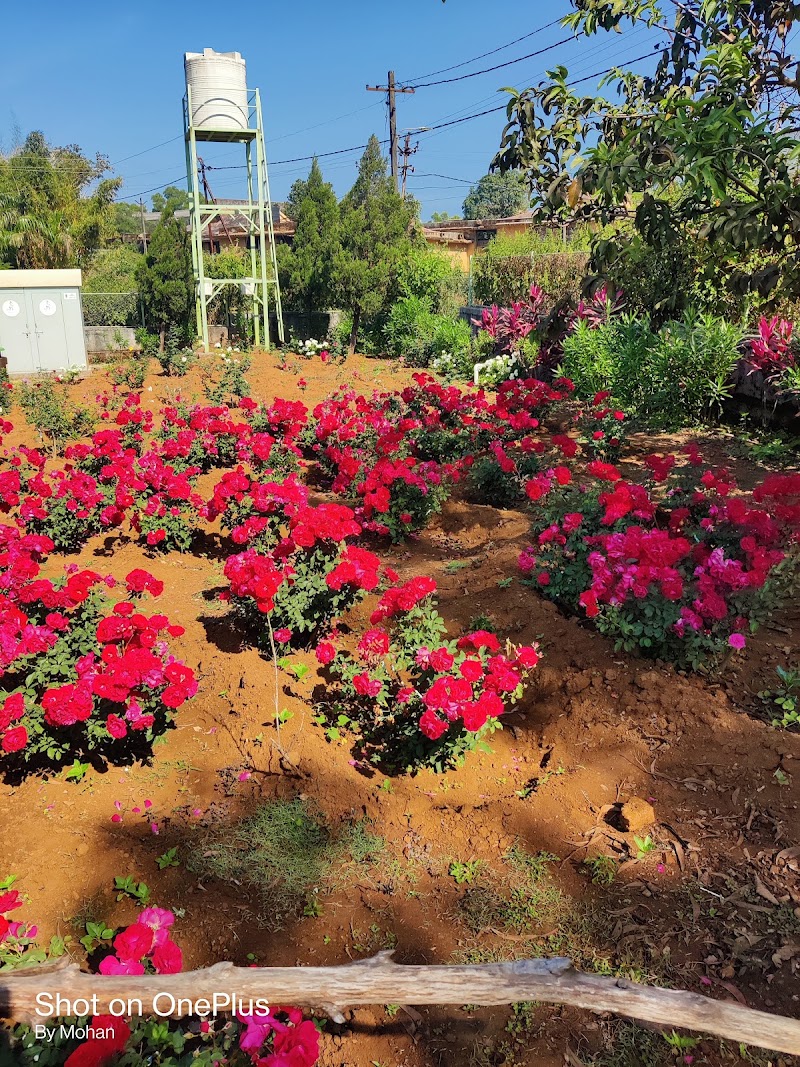 Rose Garden - Rose Garden HQH2+V4C, Saputara, Gujarat 394720, India
