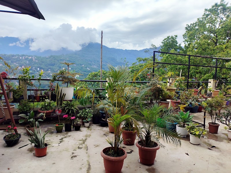 Tara's Homestay Gangtok - Tara's Homestay Gangtok Khadka Complex, Techie Panda Rd, below ICAR Colony, Daragoan, Upper Tadong, Tadong, Gangtok, Sikkim 737102, India