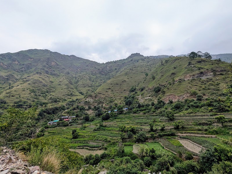 Chakrata Trek and Tours - Chakrata Trek and Tours, Village Jadi, near Deoban, Chakrata C/O, Adventure Park, Chakrata, Jadi, Uttarakhand 248123, India