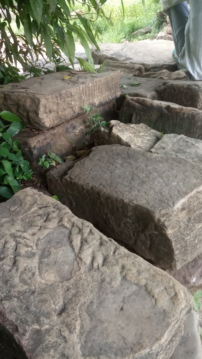 Kot - Kot, Madhya Pradesh 488441, India
