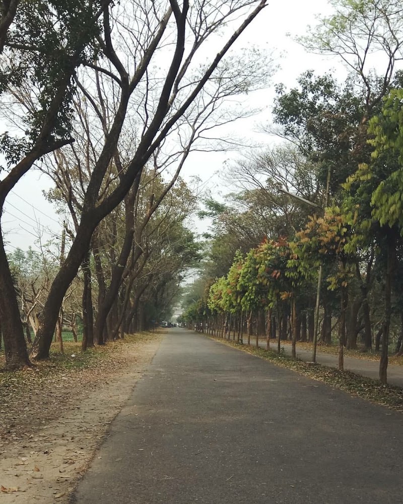 Kechki - Kechki, Jharkhand 822111, India
