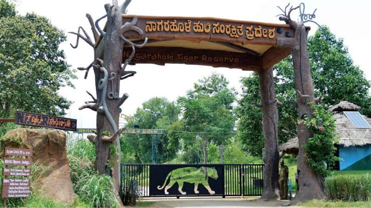 Nagarahole Tiger Reserve - Nagarahole Tiger Reserve, Karnataka, India