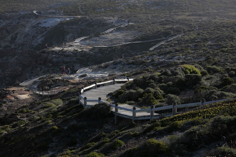 Cape Of Good Hope footpath - Cape Of Good Hope footpath, Cape Peninsula, Cape Town, South Africa