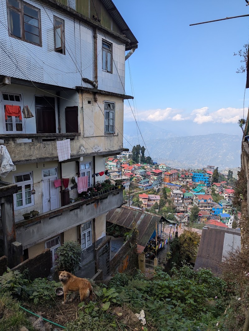 Darjeeling BnB - Darjeeling BnB Sai Niwas, Rajbari, Darjeeling, West Bengal 734101, India