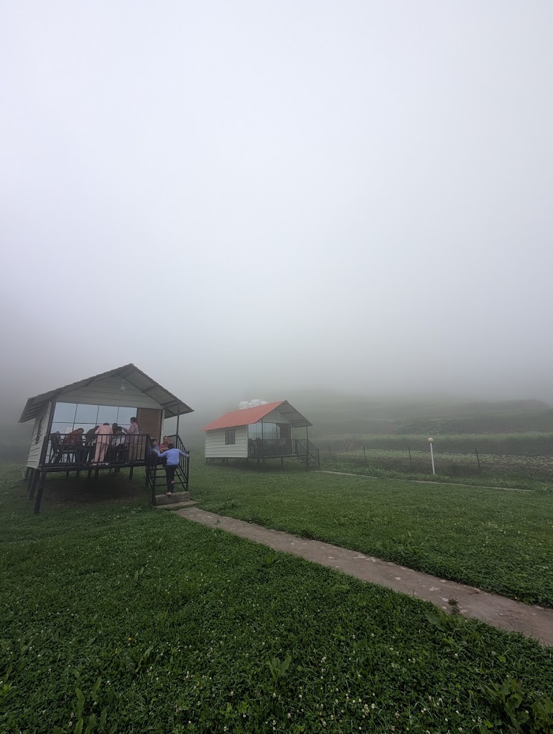 The Hillside Cottages Road - The Hillside Cottages Road, Kanatal, Jwarna, Tehri Range, Uttarakhand 249145, India