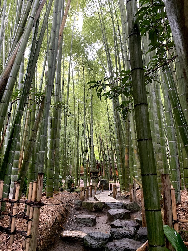 Houkokuji - Houkokuji 2-chōme-7-4 Jōmyōji, Kamakura, Kanagawa 248-0003, Japan