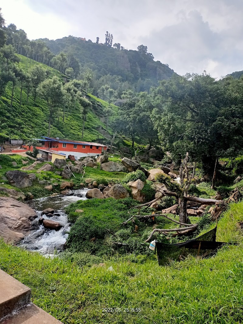 Nilgiri Mountain Railway Line - Nilgiri Mountain Railway Line, Ooty, Tamil Nadu, India
