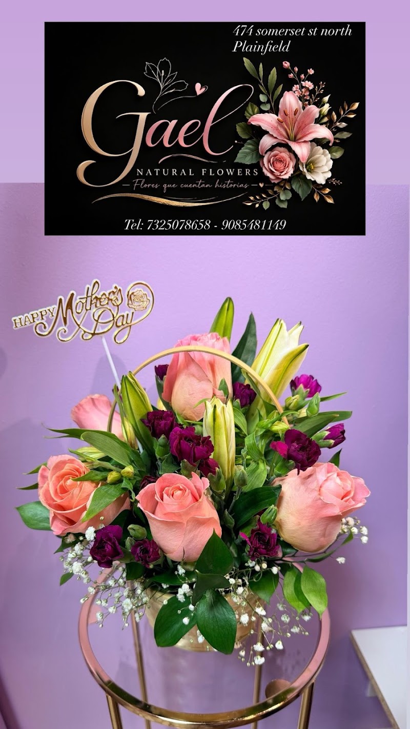 GAEL NATURAL FLOWERS - GAEL NATURAL FLOWERS 474 Somerset St, North Plainfield, NJ 07060, USA