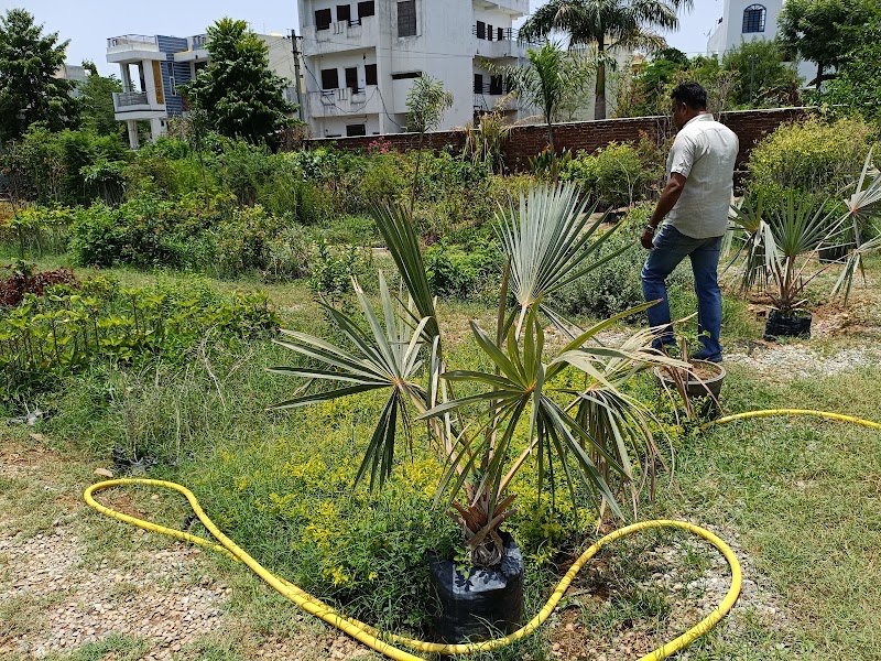 Lakecity Nursery - Lakecity Nursery JP4H+JC7, near New RTO, behind Swastik Heights, Hari Vihar Colony, Pahada, Raghunathpura, Udaipur, Rajasthan 313001, India