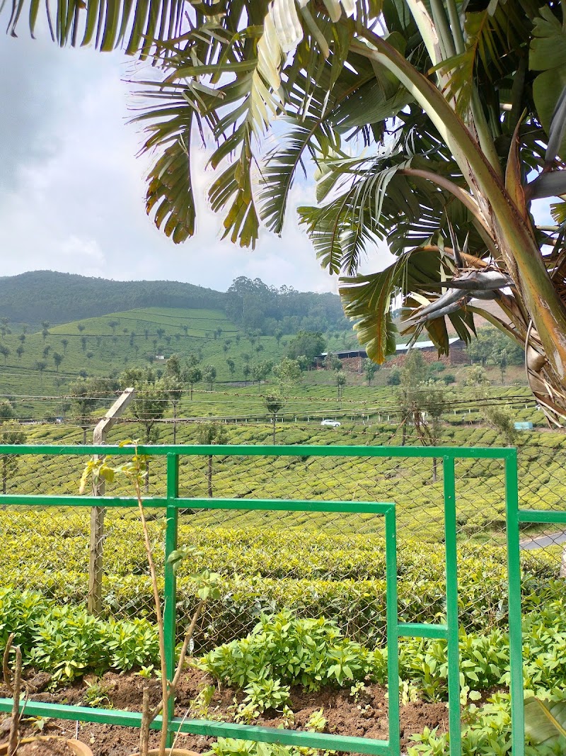 Munnar Tea Garden View Point - Munnar Tea Garden View Point 22RR+R68, Munnar - Aluva Rd, Mankulam, Kerala 685565, India